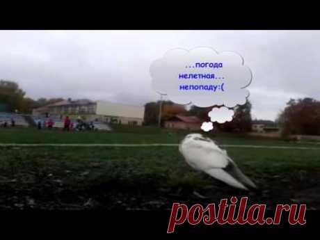 Футбольный турнир#Football Tournament!!! - YouTube