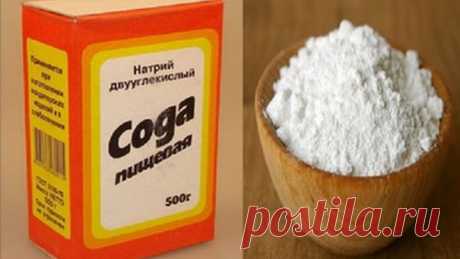 аудиокнига Петер Ентшура, Иосиф Локэмпер Выведение шлаков путь к здоровью