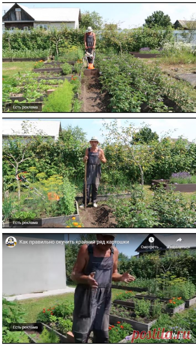 Как правильно окучить крайний ряд картошки