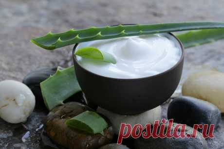 Крем, который выталкивает морщины изнутри | Food&Health.ru | Яндекс Дзен