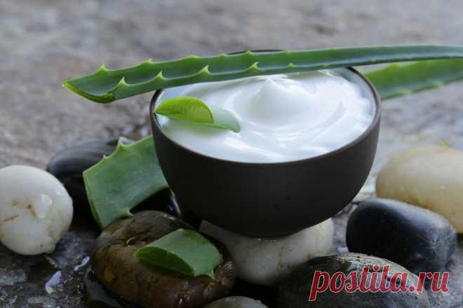 Крем, который выталкивает морщины изнутри | Food&Health.ru | Яндекс Дзен