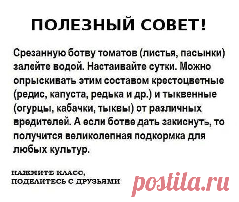 Одноклассники