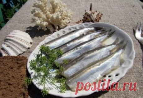 Самая полезная рыба Эксперты утверждают, что у семги, форели и лосося есть серьезный конкурент среди бюджетных и доступных видов рыбы, который тоже является хорошим источником омега-3 жирных кислот.
 




Название этой г…