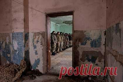 Шойгу назвал потери ВСУ с начала спецоперации
