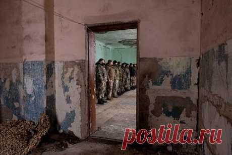 Шойгу назвал потери ВСУ с начала спецоперации