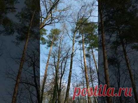 Wonderful world ❤️