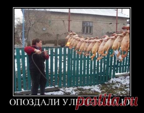 Прикольные демотиваторы для всех