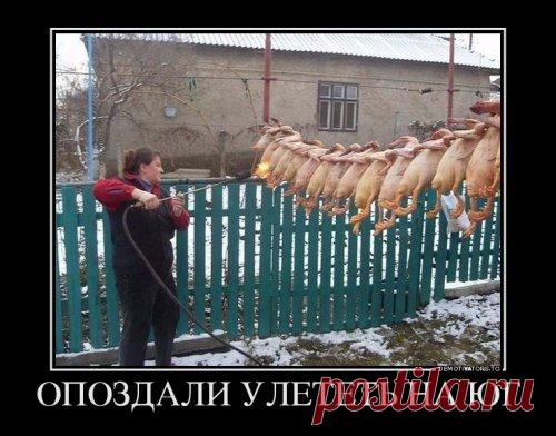 Прикольные демотиваторы для всех