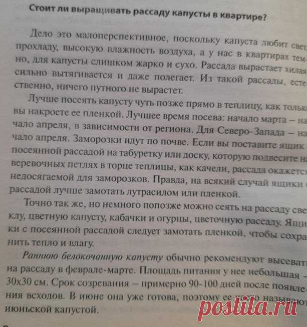 Огород. Когда и как посадить капусту