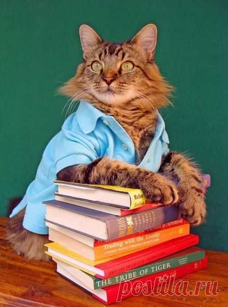Кто-то сказал: «Книги не только читать надо, но их иметь надо». Сущая правда. Одно дело – Публичная библиотека, другое – когда ты в этой атмосфере варишься! Человек, собравший дома библиотеку и пусть даже не открывший всех книг, – счастливый человек.