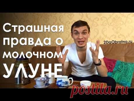 Страшная правда о молочном улуне. Как заваривать. Свойства, польза и вред.