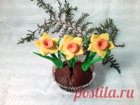 Шоколадные кексы с декором из пластичного шоколада!
Chocolate muffins with a decor of plastic chocolate!