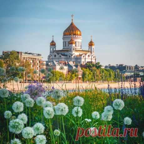 Доброе воскресное утро 

#фото@mosc1