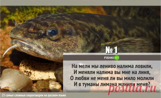 25 самых сложных скороговорок на русском языке