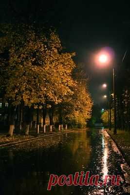 Волшебная осень