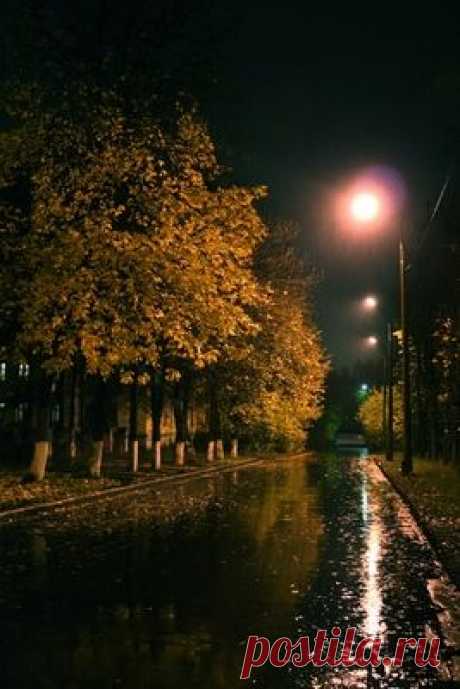 Волшебная осень