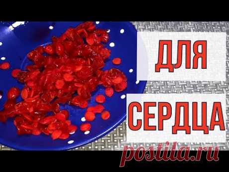 ПО ЧАЙНОЙ ЛОЖКЕ УТРОМ И ВЕЧЕРОМ ДЛЯ КРЕПКОГО СЕРДЦА, ОТ ГИПЕРТОНИИ, ДЛЯ МОЩНОГО ИММУНИТЕТА..