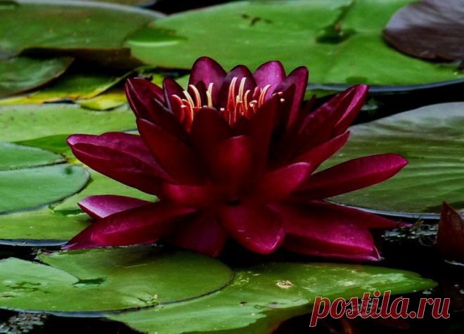 Редактировать описание