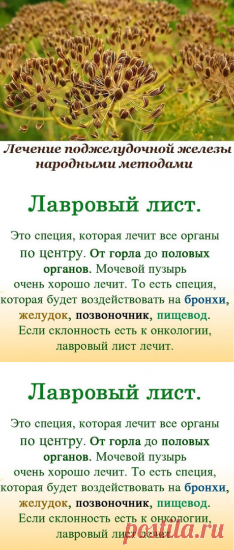 (34) Одноклассники