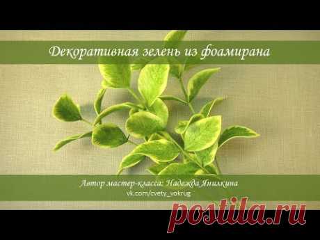 Декоративная зелень из фоамирана мастер-класс / Decorative greens | foam flowers | DIY