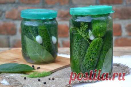 Огурцы на зиму без закатки - пошаговый рецепт с фото на Повар.ру
