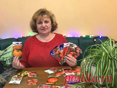 О ПОМИДОРАХ. ЭТО СУПЕР СОРТА ДЛЯ ВАШЕГО ЗДОРОВЬЯ !