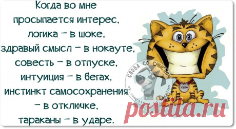 интересные прикольные картинки