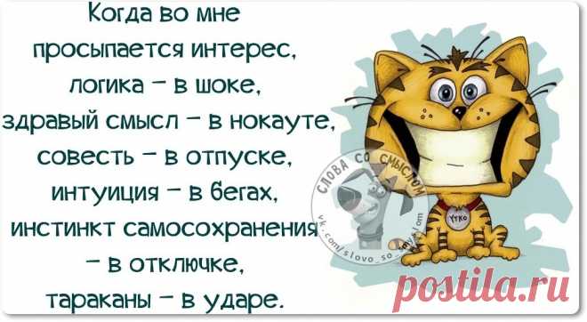 интересные прикольные картинки
