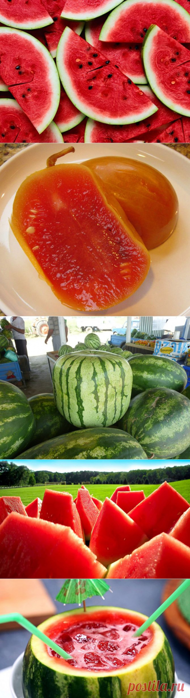 12 ароматных и сочных фактов про арбузы