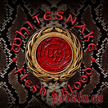 Download Whitesnake - Flesh & Blood (Deluxe Edition) (2019) [Hi-Res 24Bit] Format: FLAC Quality: 24 bits Lossless Album Title: Whitesnake - Flesh & Blood (Deluxe Edition) Genre: Rock Release Date: 2019-05-03 BitRate: 2935 Kbps ~ 3321 Kbps Total Size: 1.89 GB