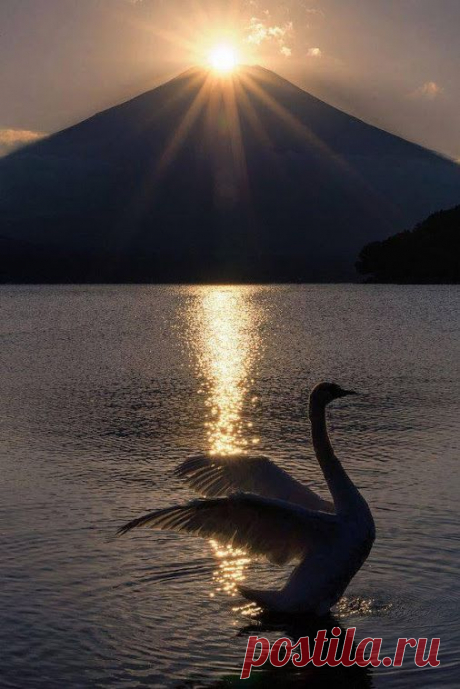 Google+