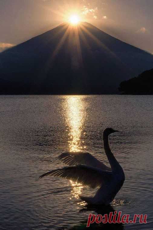 Google+