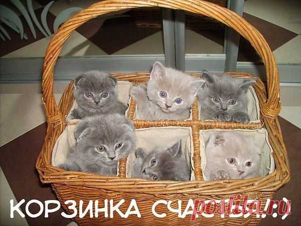 Интересные новости