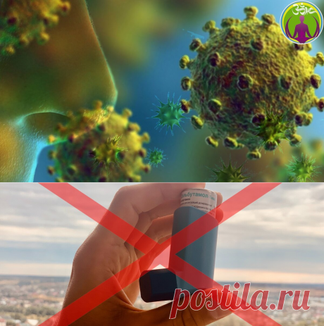 Как ЗОЖ помог мне избавиться от аллергии на животных и не только. | ЗОЖ путь изнутри вовне | Яндекс Дзен