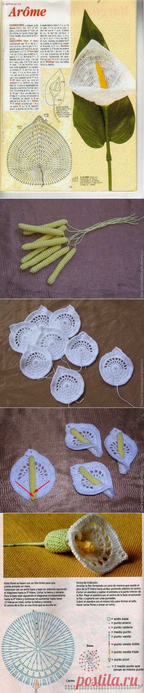 Irish crochet &amp;: Цветы КАЛЛЫ