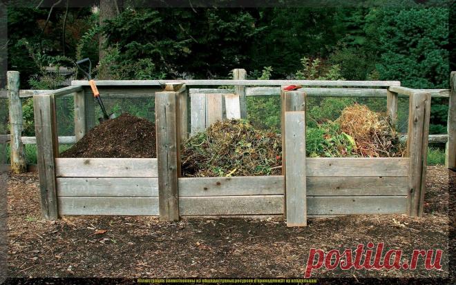 13 советов для приготовления качественного компоста: как правильно и быстро приготовить на даче питательный компост | Дачные истории | Дзен