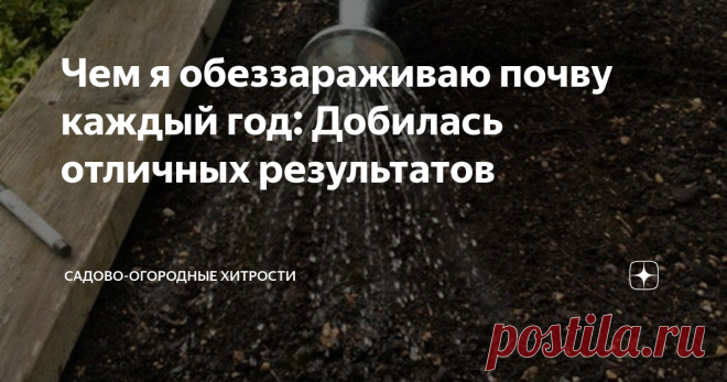 Чем я обеззараживаю почву каждый год: Добилась отличных результатов Обрабатывать землю нужно каждой осенью, ведь почва – это прекрасное место для развития и размножения болезнетворных организмов и вредителей. Там они чувствуют себя великолепно и с легкостью переживают даже самые суровые зимы.