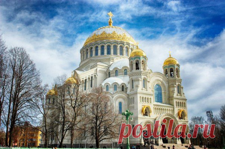 МИРОВОЕ ПОЛИТИЧЕСКОЕ ШОУ - новости каждый день
Николай Н