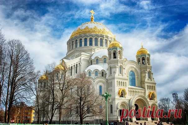 МИРОВОЕ ПОЛИТИЧЕСКОЕ ШОУ - новости каждый день
Николай Н