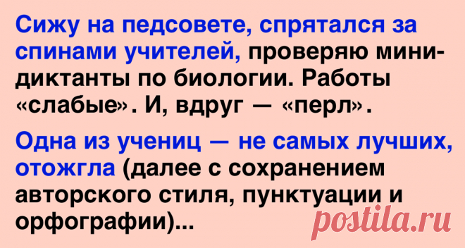 Сижу спокойно на педсовете, спрятался за спинами учителей, проверяю мини-диктанты - Все самое интересное! Сижу спокойно на педсовете, спрятался за спинами учителей, проверяю мини-диктанты по биологии....