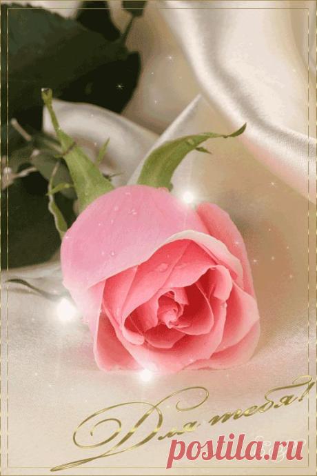 0_3d2b1_afd8d04e_XL (533×800)