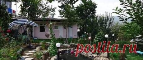 Домашняя страница
