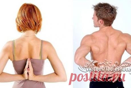 Здоровый позвоночник: план занятий для разных возрастов.