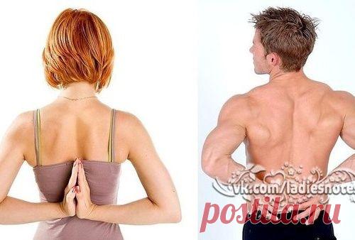 Здоровый позвоночник: план занятий для разных возрастов.