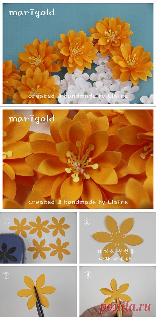 Панчевые цветы.....