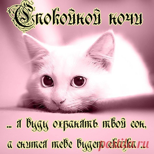 Красивые и нежные картинки для любимой девушки: пожелания спокойной ночи и сладких, красивых снов (37 картинок) ⭐ Забавник