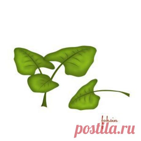 Отрисовки - Страница 68 - Готовим сами