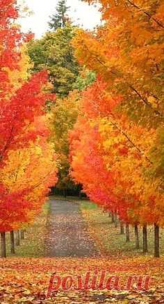 (166) Pinterest • Всемирный каталог идей