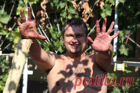максим художников
