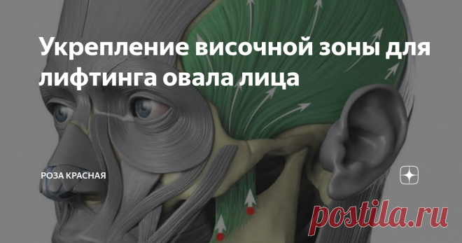 Укрепление височной зоны для лифтинга овала лица Именно от височной мышцы зависят очень многие причины деформаций, так как в верхней части лица она выступает в качестве каркаса. И если она в спазмированном состоянии, (а чаще всего это так), то:
происходят сильные деформации вокруг глаз, усугубляется вся зона вокруг;
образовываются  морщины  и нависания верхних и деформация нижних век;
обвисают ткани лица;